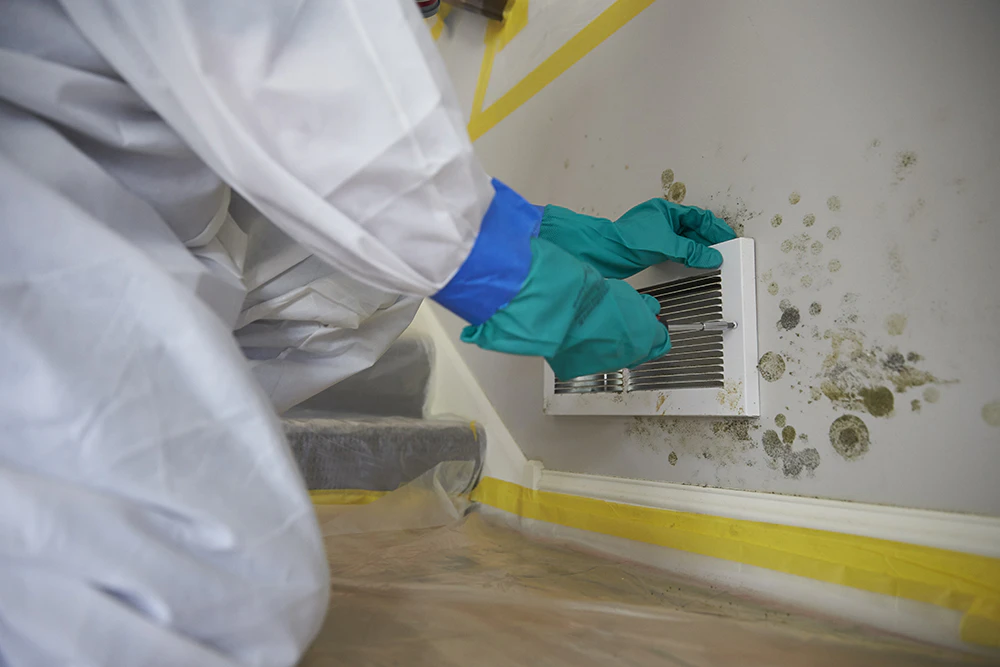 ELIMINATION DE MOISISSURE ET REPARATION DES DOMMAGES CAUSES PAR UNE INONDATION